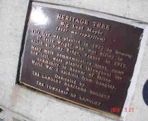 Wright Memorial Maple Tree marker; Township of Langley, 2006