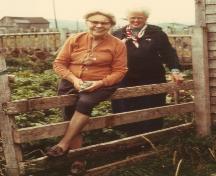 Photo of Nurse Myra Bennett (centre of photo) with a visiting nurse, date unknown.; HFNL 2006.