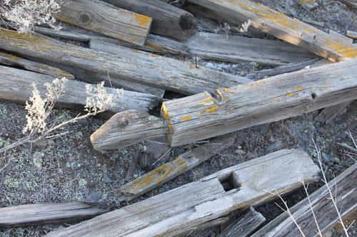 remains of decorative fence